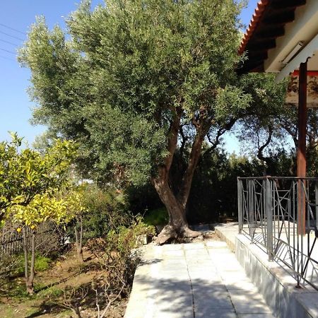 Gerakina Beach Cottage بساكوذيا المظهر الخارجي الصورة