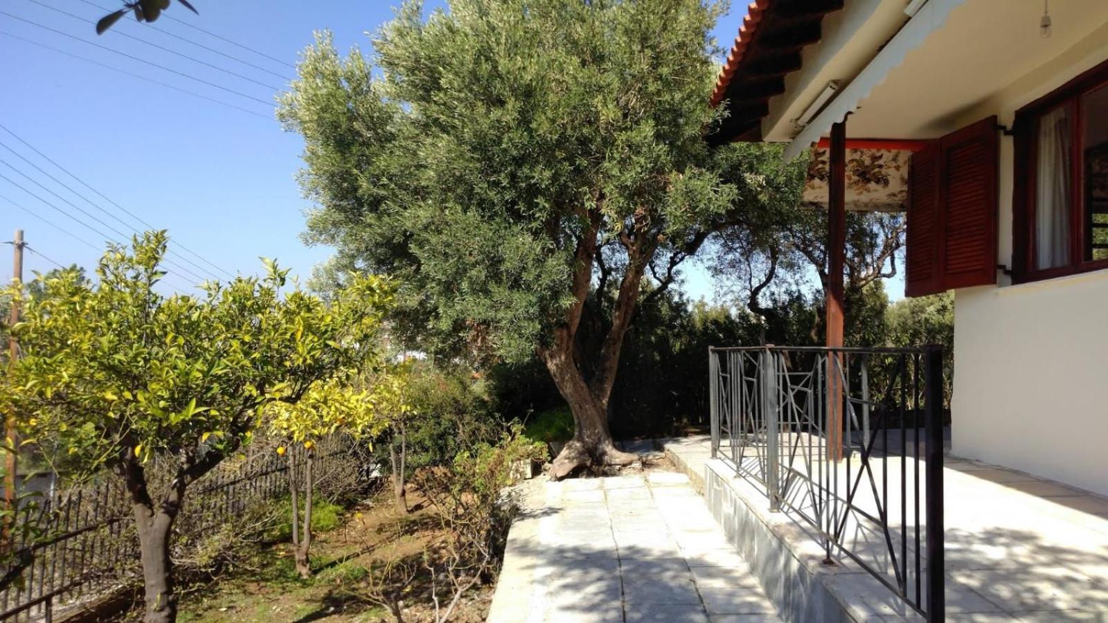 Gerakina Beach Cottage بساكوذيا المظهر الخارجي الصورة